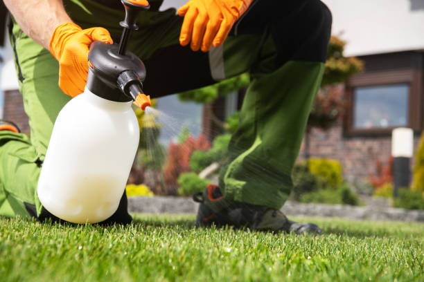 Best Bird Control  in El Paso, TX